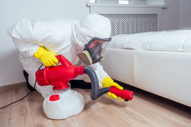 Best Wasp Removal Services  in Lake Lorelei, OH